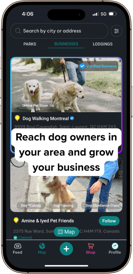 DogPack Business feature - Connect to dog owners and grow your business