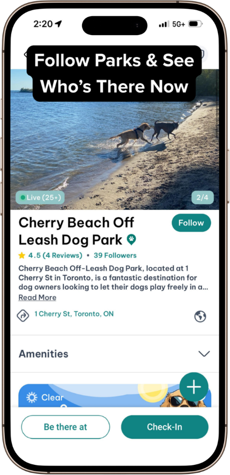 DogPack Park feature - Discover and explore dog-friendly parks with amenities, photos, and reviews