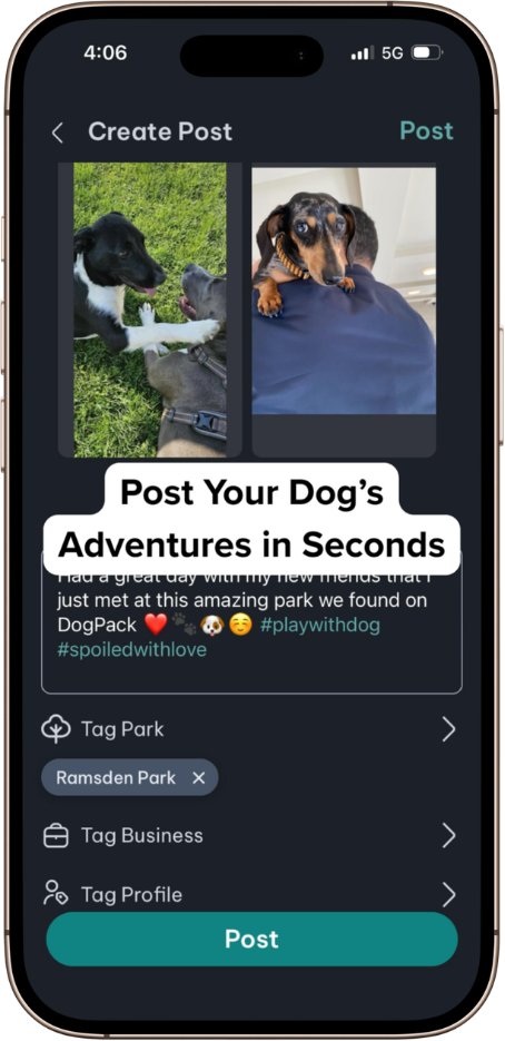 DogPack Post feature - Share photos, videos, and updates with the DogPack community